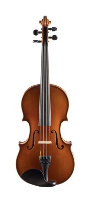 Auction <br>VIOLINE KAREL PILAR