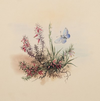 Auction 134<br>KONVOLUT AUS SIEBEN BOTANISCHEN AQUARELLEN