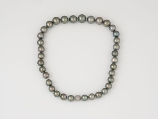 Auction 135<br>COLLIER