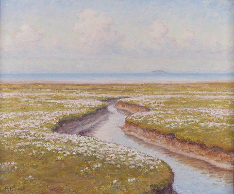 Auction 133<br>'BLÜHENDE HALLIG'