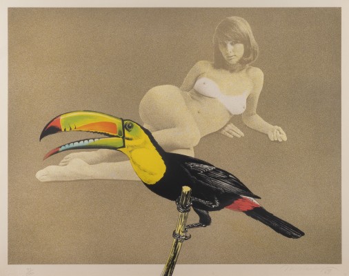 Auction 133<br>'TOUCAN BETTER THAN ONE' (1969)