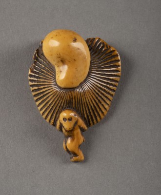 Auction 132<br>EIN GESCHNITZTES NETSUKE EINES PILZ TRAGENDEN AFFEN AUS ELFENBEIN