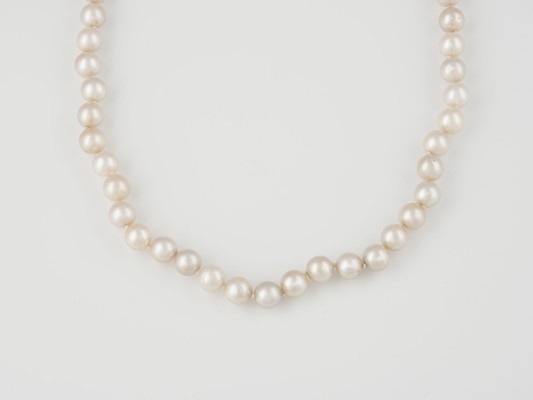 Auction 136<br>PERL-COLLIER