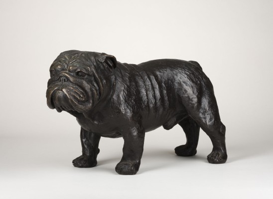 Auction 140<br>BULLDOGGE